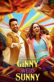 Ginny Weds Sunny (2020) Hindi Netflix